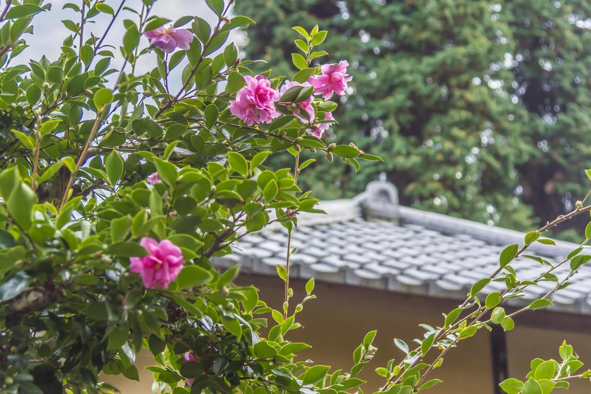 Utsunomiya Grand Hotel Esterno foto